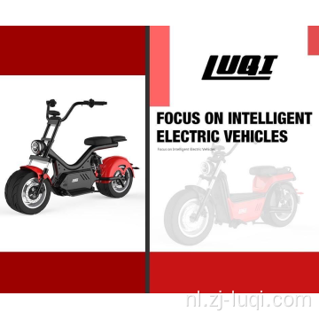 Elektrische scooter met verwijderbare lithiumbatterijmotorfiets
